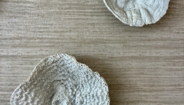 IMG_3461 normaal.jpeg